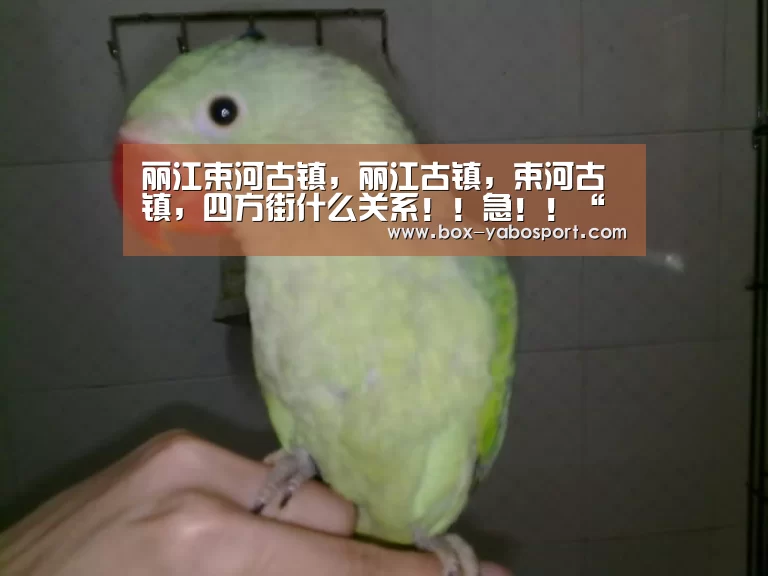 丽江束河古镇,丽江古镇,束河古镇,四方街什么关系!!急!!“亚博官网”(图3) 亚博网站