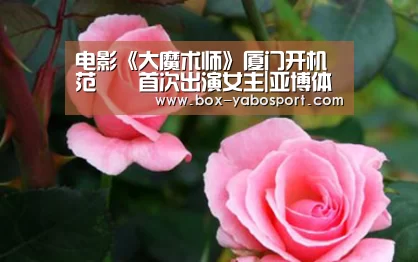 亚博网站
