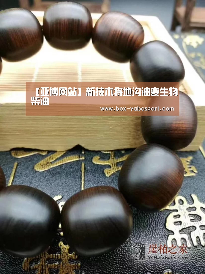 【亚博网站】新技术将地沟油变生物柴油
