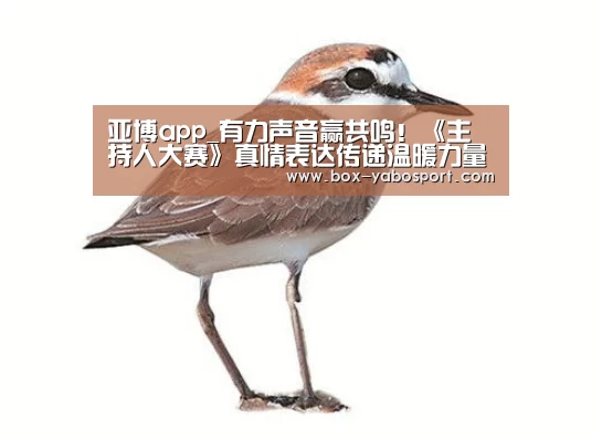 亚博app_有力声音赢共鸣！《主持人大赛》真情表达传递温暖力量
