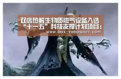 双床热解生物质燃气设备入选“十一五”科技支撑计划项目:亚博app(图2) 亚博网站