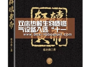双床热解生物质燃气设备入选“十一五”科技支撑计划项目：亚博app