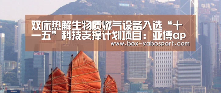 双床热解生物质燃气设备入选“十一五”科技支撑计划项目:亚博app(图3) 亚博网站
