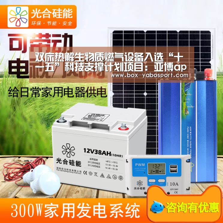 双床热解生物质燃气设备入选“十一五”科技支撑计划项目:亚博app(图4) 亚博网站