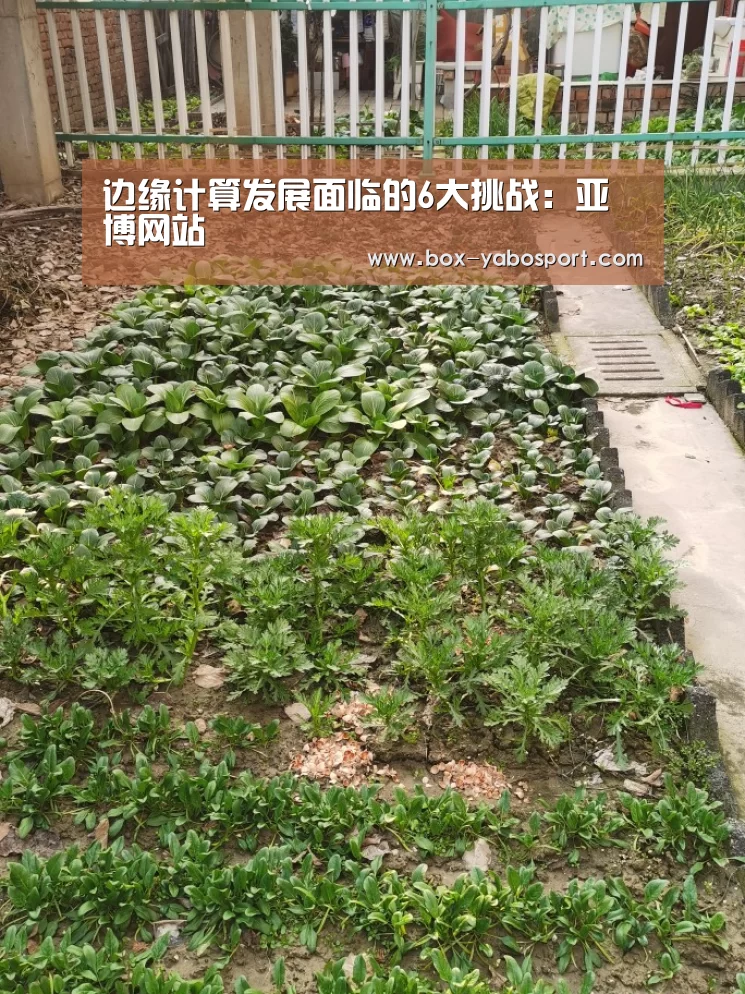 边缘计算发展面临的6大挑战:亚博网站(图2) 亚博app