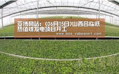 亚博网站：(06月15日)山西吕临低热值煤发电项目开工
